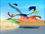 Road Runner